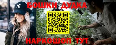 apvp Славгород