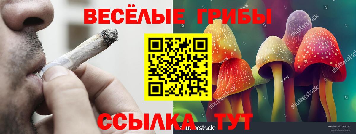 Псилоцибиновые грибы Psilocybine cubensis  Псилоцибиновые грибы Cubensis  Вход с VPN  Туапсе 