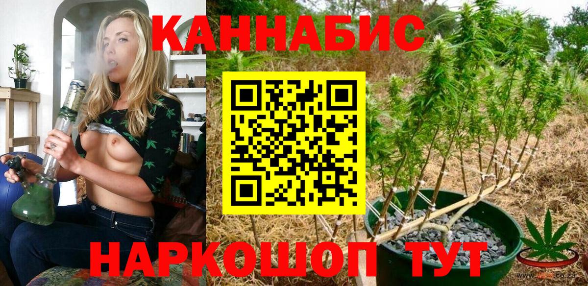Бошки Шишки SATIVA & INDICA  Вход с VPN  Бошки марихуана марихуана  Бошки Шишки марихуана  Туапсе 